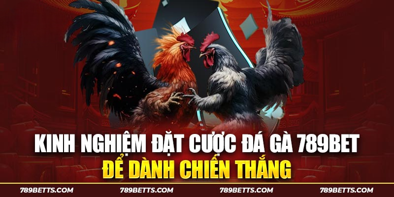 Kinh nghiệm đặt cược đá gà 789BET để dành chiến thắng