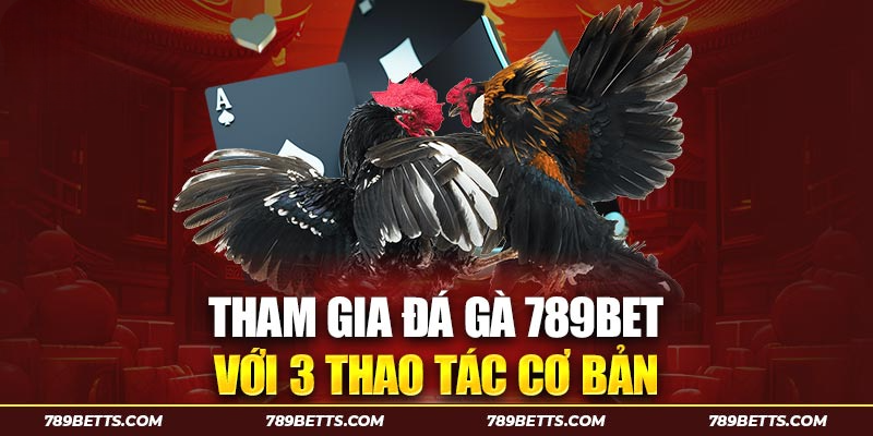 Tham gia đá gà 789BET với 3 thao tác cơ bản